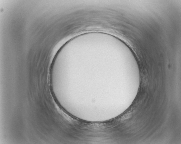 X0000060271527200511181406