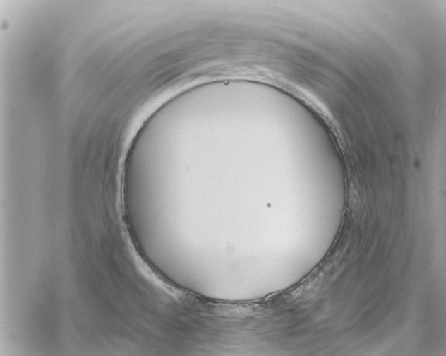 X0000060271528200511181406