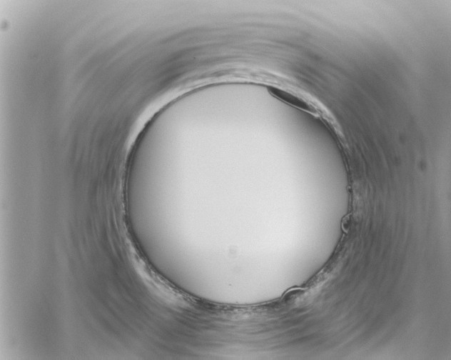 X0000060271530200511181406