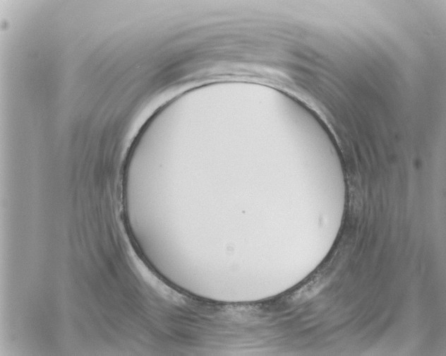 X0000060271531200511181406