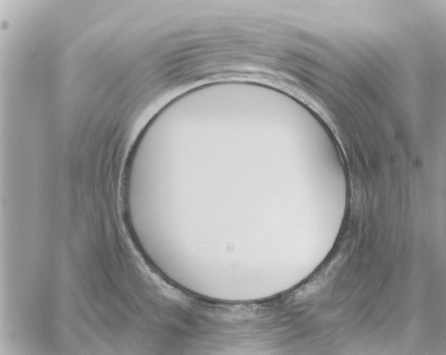 X0000060271533200511181406