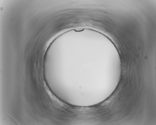 X0000060271534200511181407