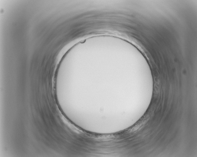 X0000060271535200511181407