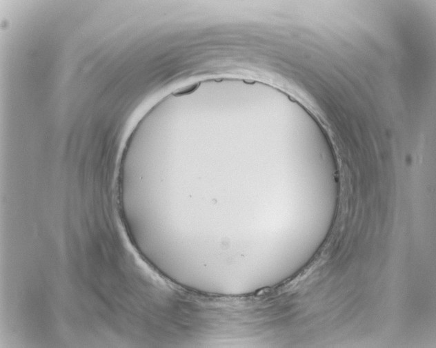 X0000060271536200511181407