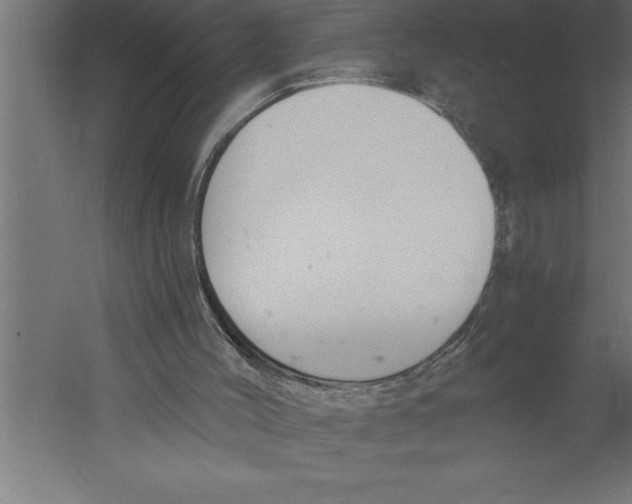 X0000060270004200511241507