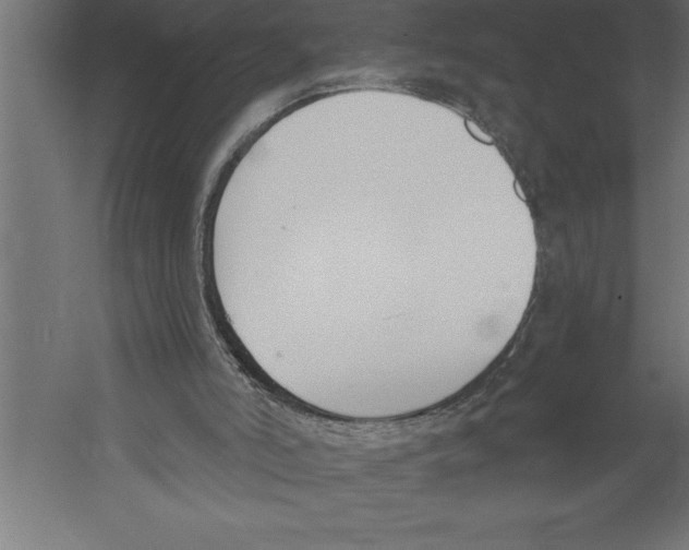 X0000060270006200511241507