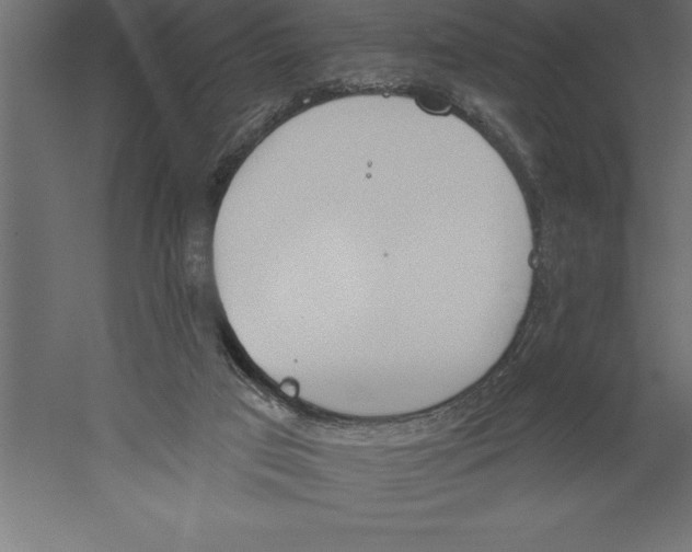 X0000060270017200511241506