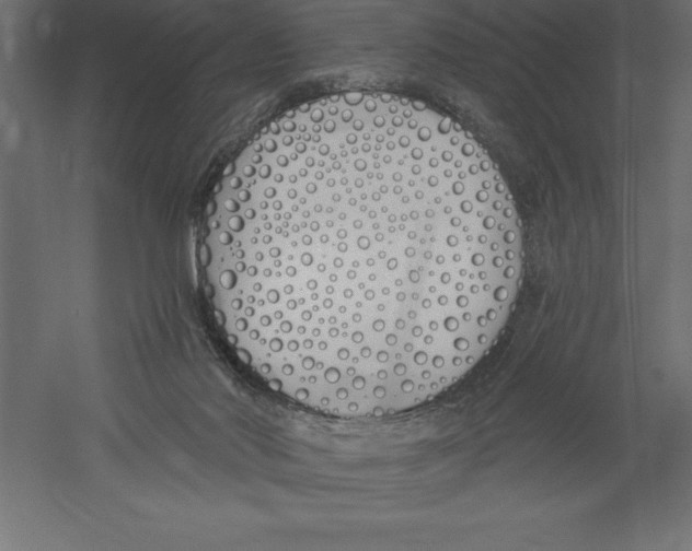 X0000060270022200511241506