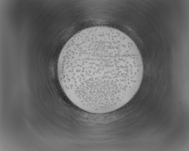 X0000060270026200511241506