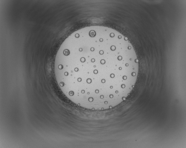 X0000060270032200511241506