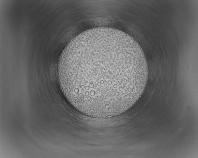 X0000060270034200511241506