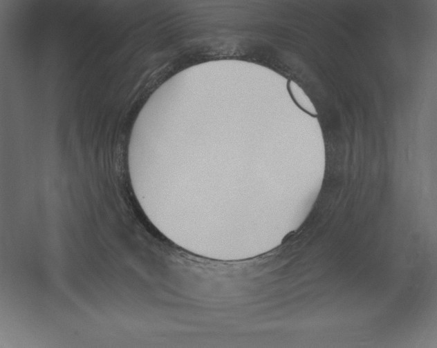 X0000060270035200511241506