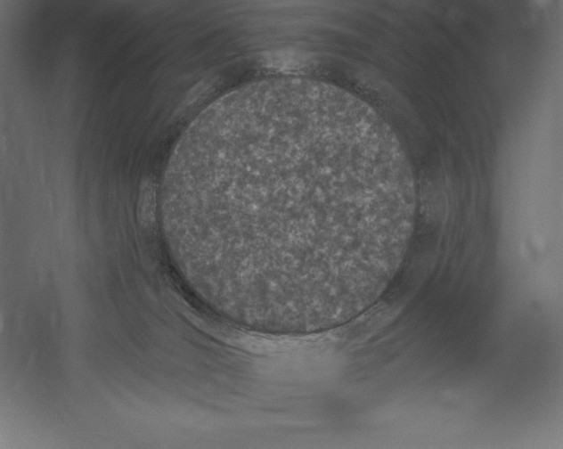 X0000060270036200511241506