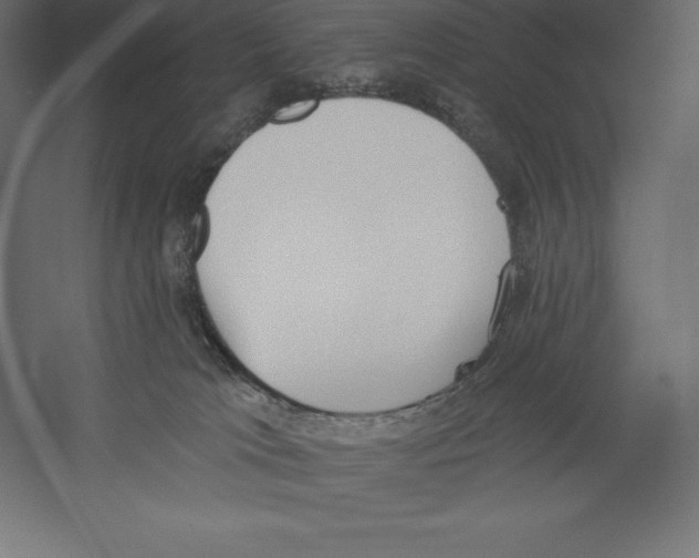 X0000060270037200511241506