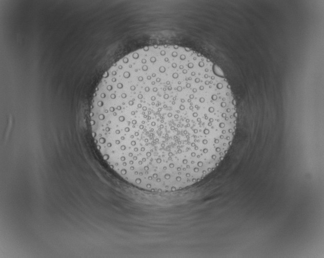 X0000060270038200511241506