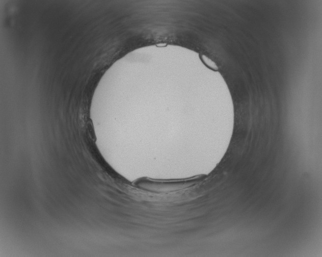 X0000060270039200511241506