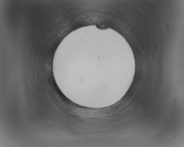 X0000060270040200511241506