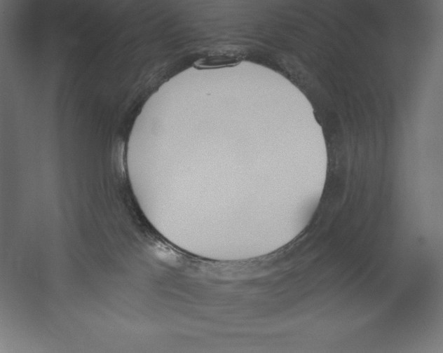 X0000060270041200511241506