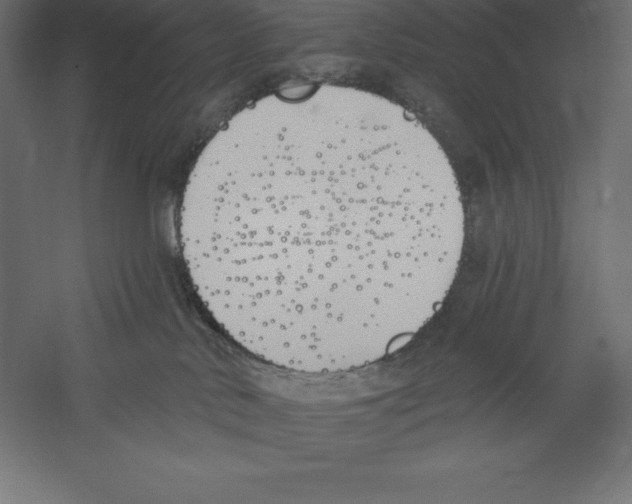 X0000060270042200511241506