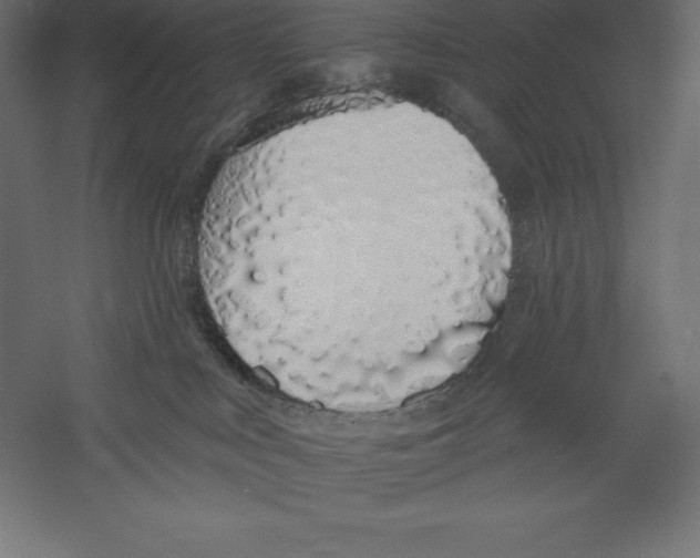 X0000060270043200511241506