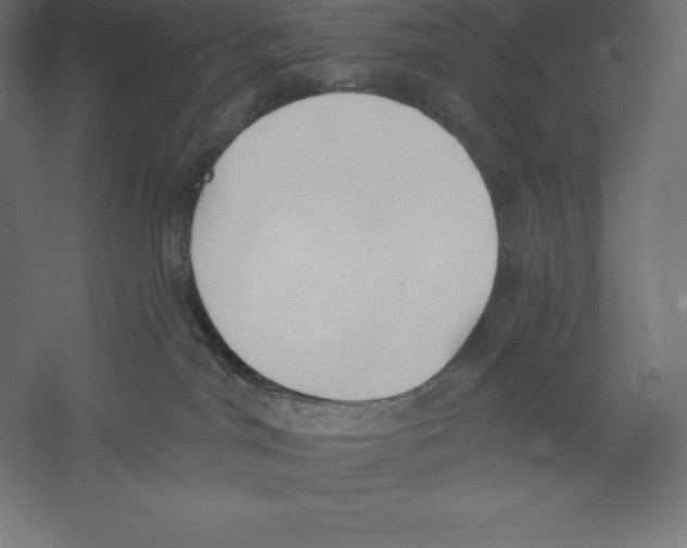 X0000060270044200511241506