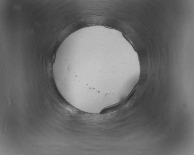 X0000060270045200511241506