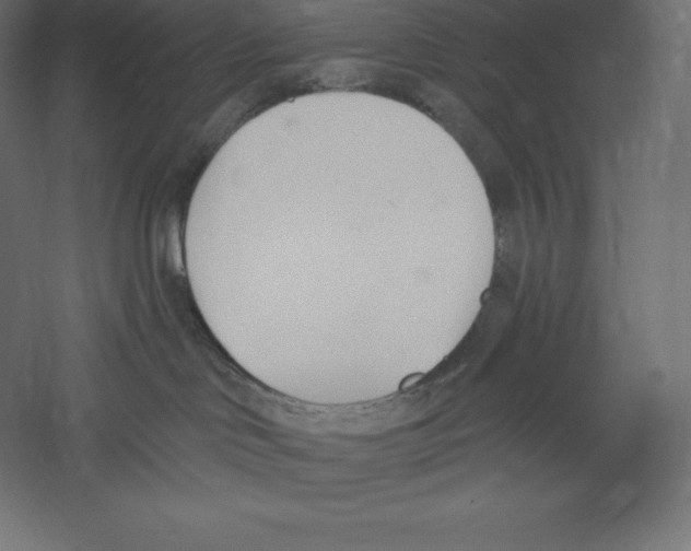 X0000060270046200511241506