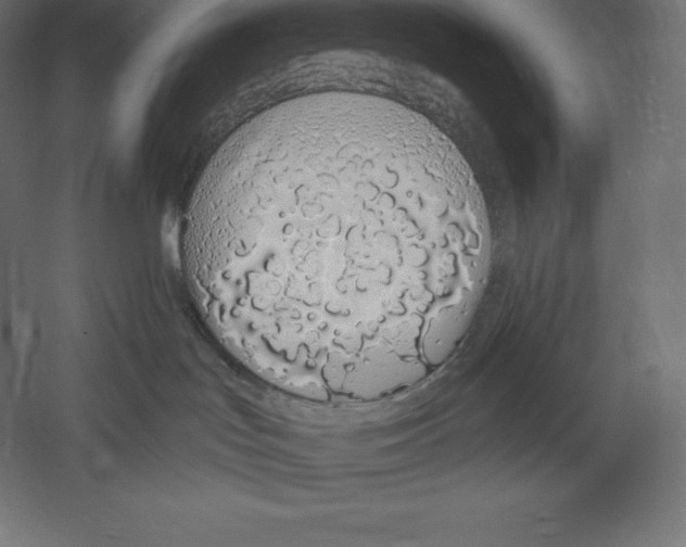 X0000060270047200511241506