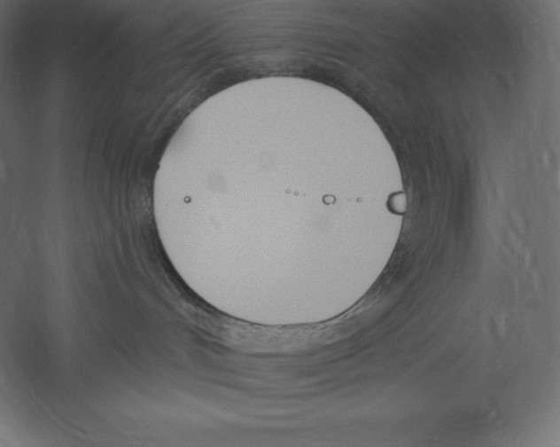 X0000060270048200511241506