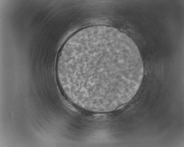 X0000060270052200511241505