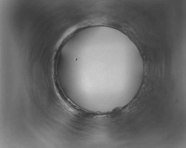 X0000060270054200511241505