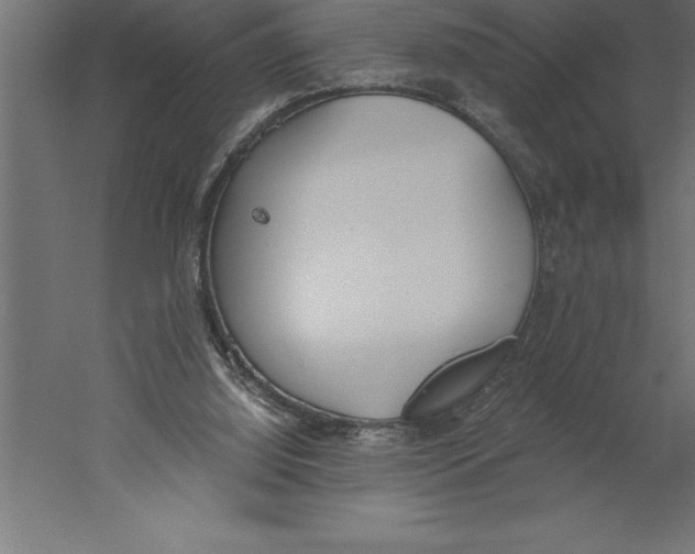 X0000060270060200511241505