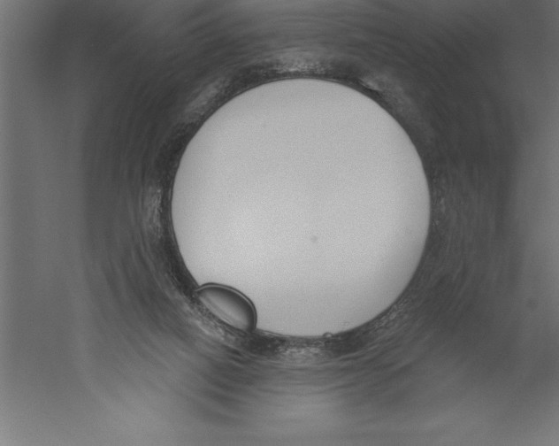 X0000060270066200511241505