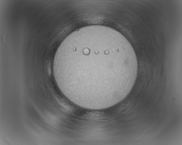 X0000060270069200511241505