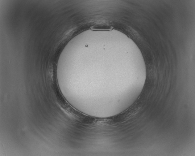 X0000060270072200511241505