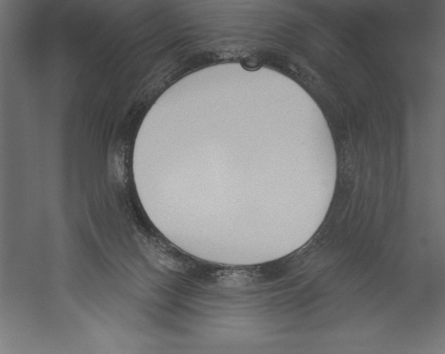 X0000060270074200511241506