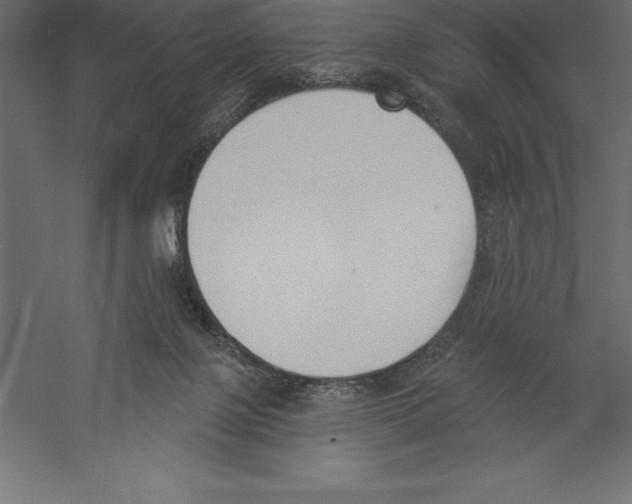 X0000060270075200511241506