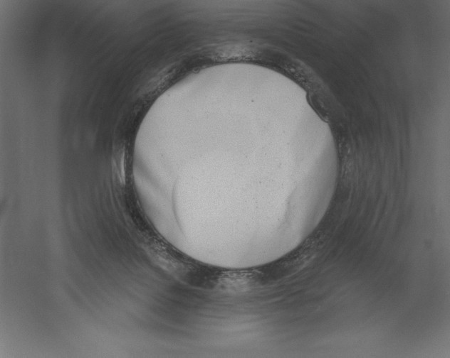 X0000060270076200511241506