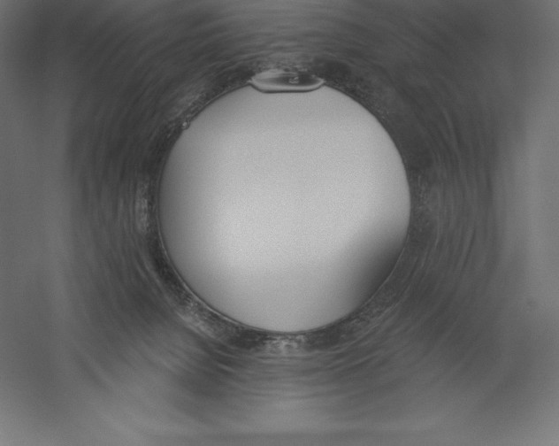 X0000060270080200511241506