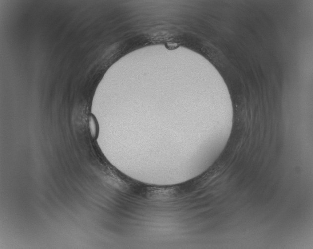 X0000060270081200511241506