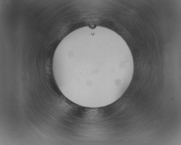 X0000060270083200511241506