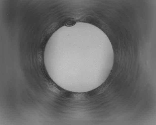 X0000060270085200511241506