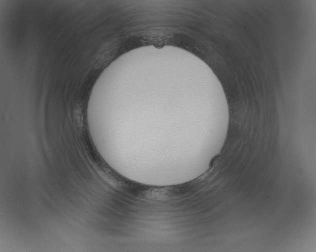 X0000060270086200511241506