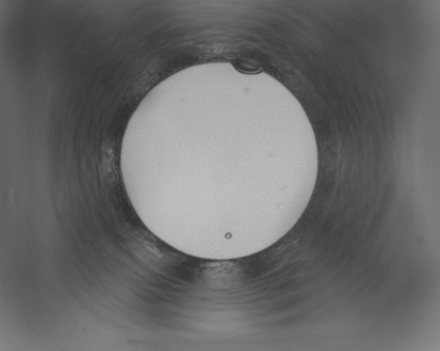 X0000060270087200511241506