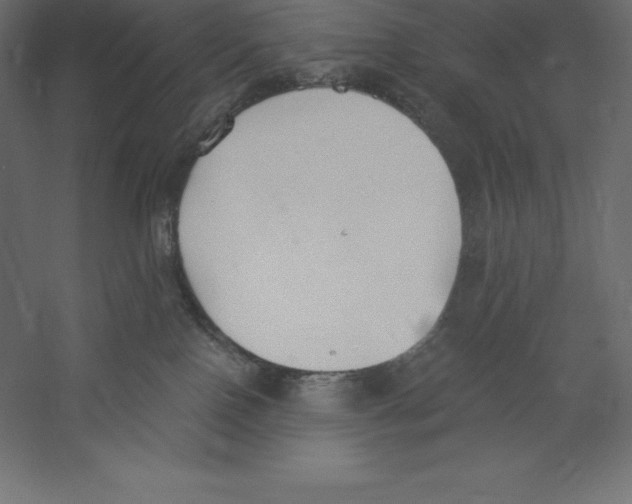 X0000060270090200511241506