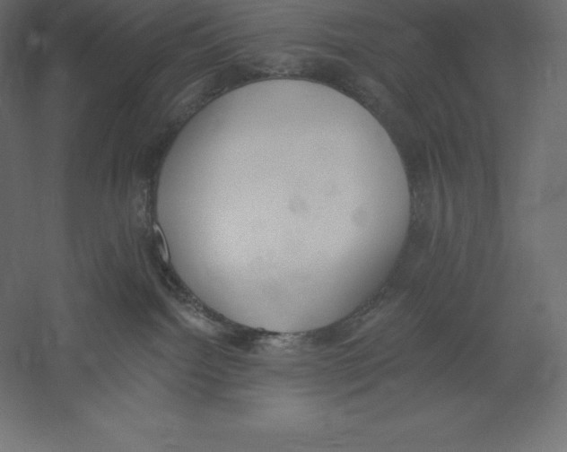 X0000060270092200511241506