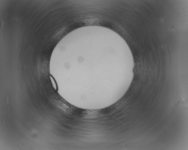 X0000060270093200511241506