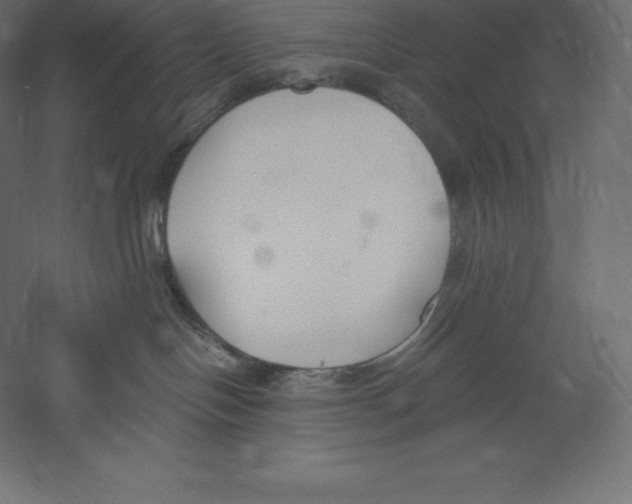 X0000060270094200511241506