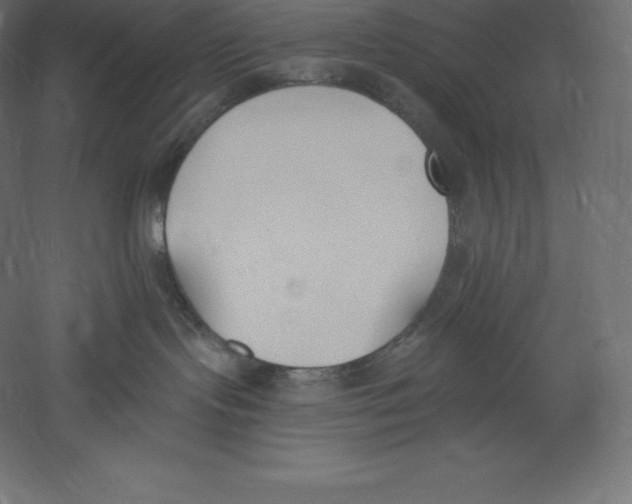 X0000060270095200511241506