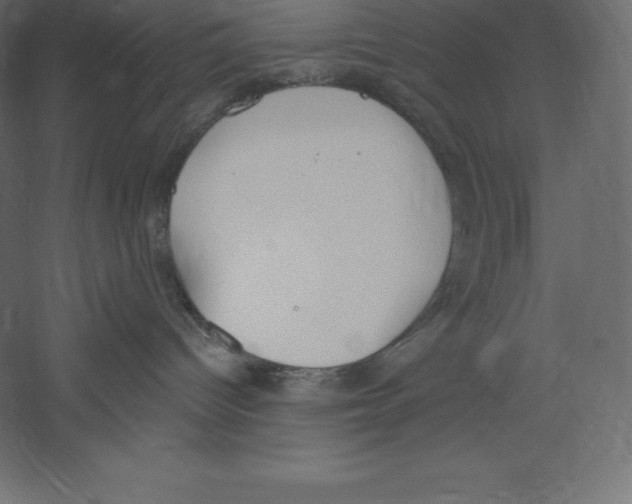 X0000060270096200511241506